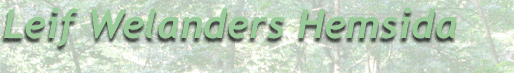 my great site
